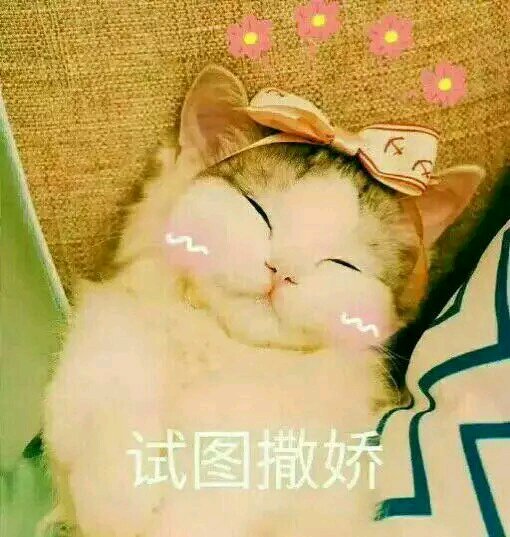 微信近期斗图恶搞表情包2019/4/3