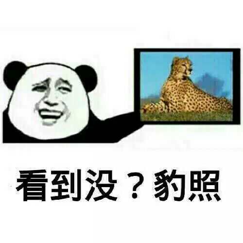 理直气壮微信恶搞傻屌斗图表情包