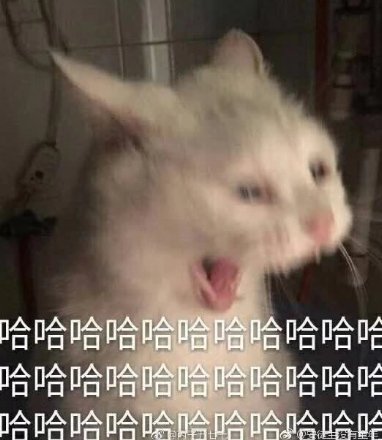 随缘微信恶搞傻屌斗图表情包