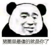 微信近期斗图恶搞表情包2019/4/3