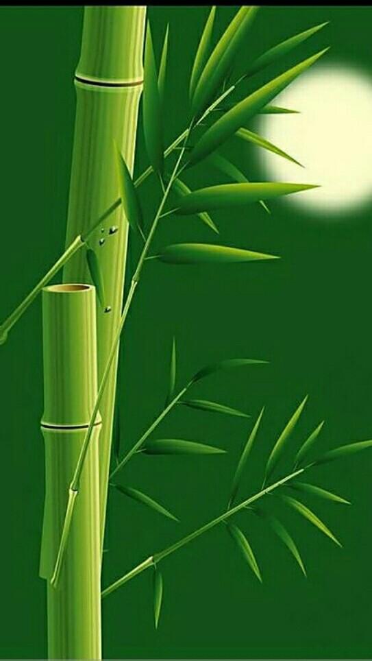 最新好看高清手机壁纸