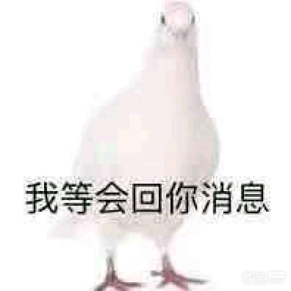 你好酸啊微信恶搞傻屌斗图表情包