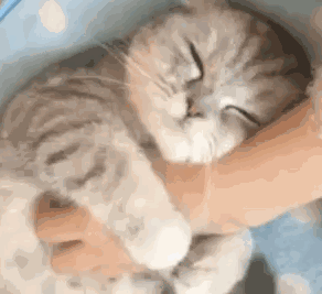 随缘微信恶搞傻屌斗图表情包