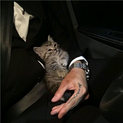 微信高颜值帅气性感男生头像