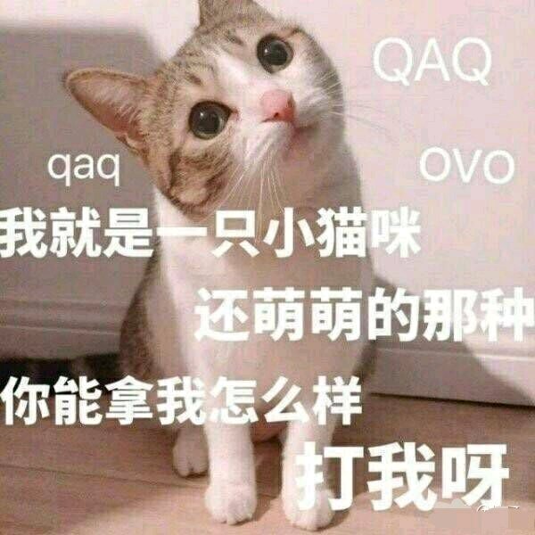 可怕微信恶搞傻屌斗图表情包