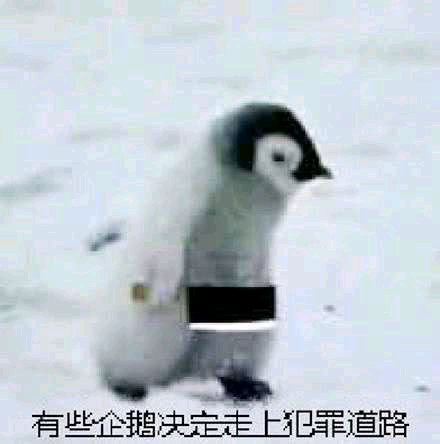 微信近期斗图恶搞表情包2019/4/6