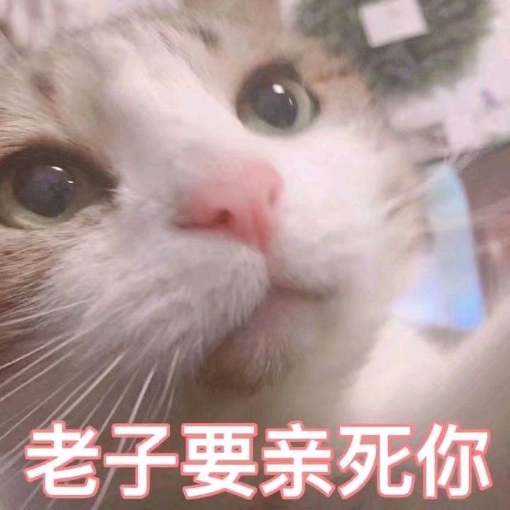 紧张微信恶搞傻屌斗图表情包