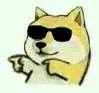 微信近期恶搞斗图表情包2019/4/7（二）