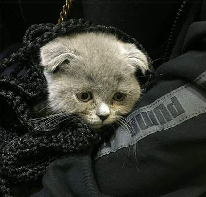 微信高颜值帅气性感男生头像