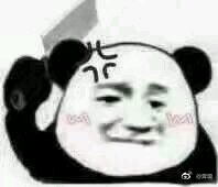 打扰了微信恶搞傻屌熊猫头斗图表情包