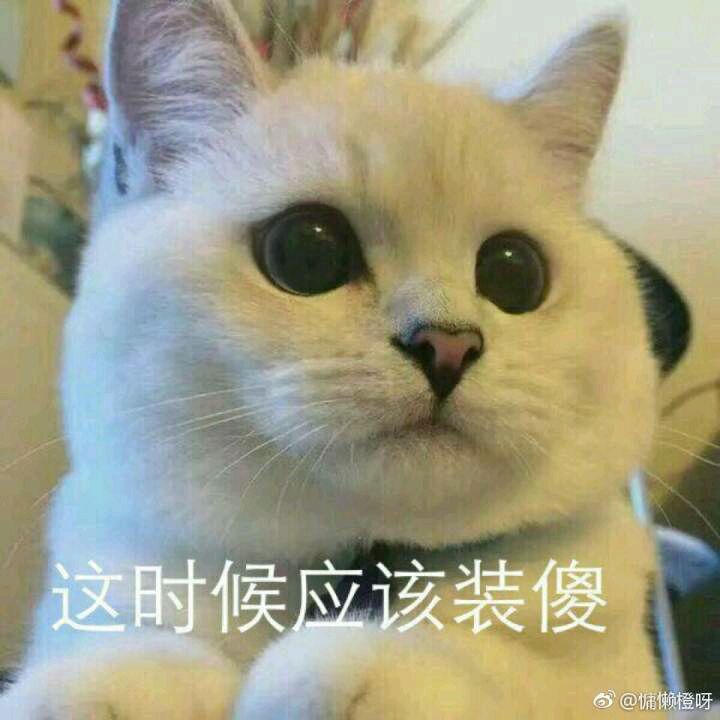 暗中委屈微信恶搞傻屌斗图表情包