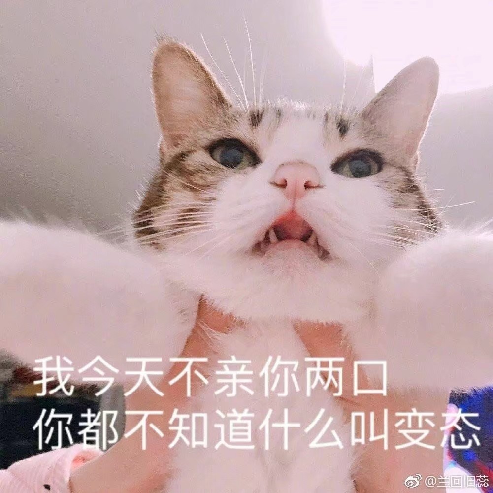 微信搞怪可爱宠物斗图表情包