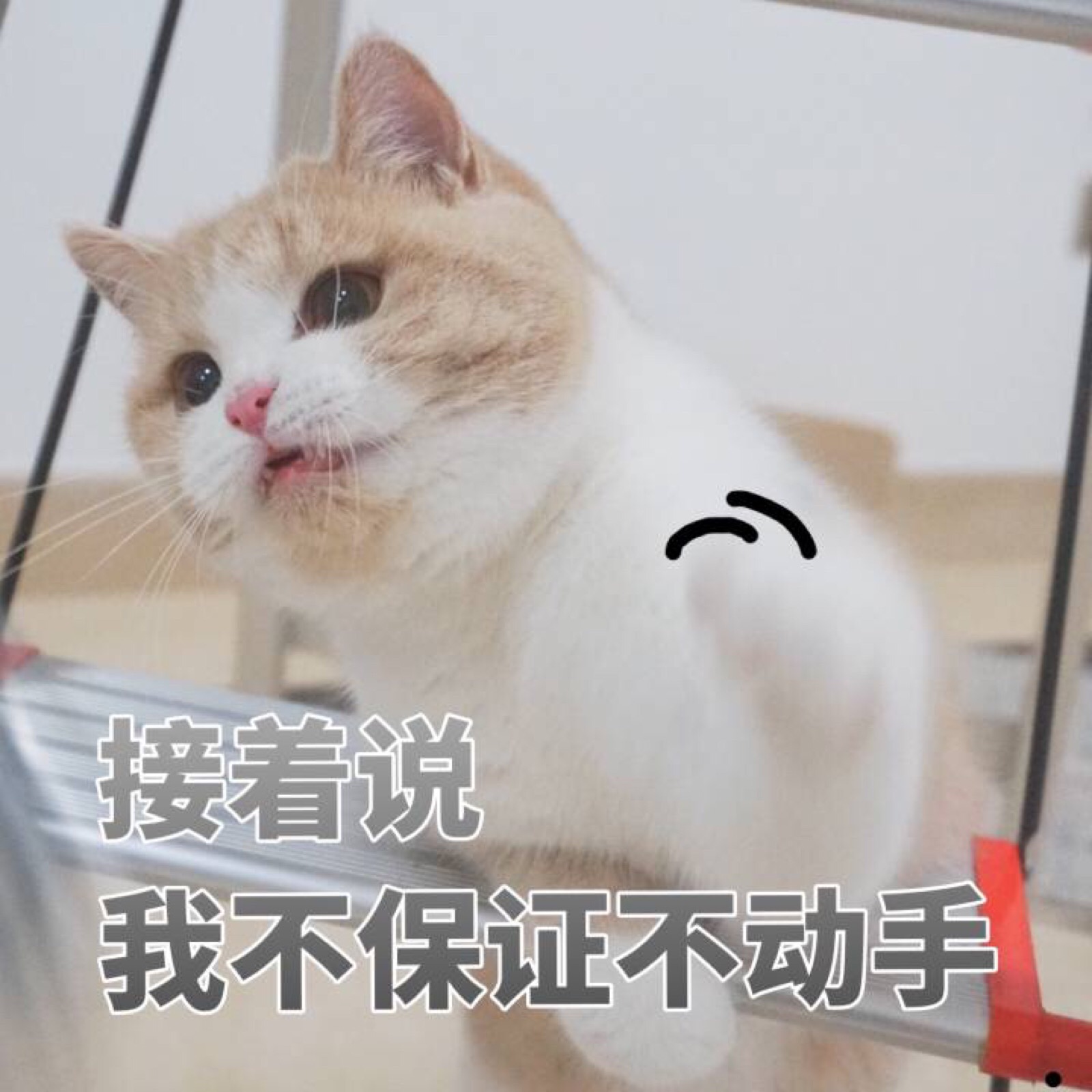 微信搞怪可爱宠物斗图表情包