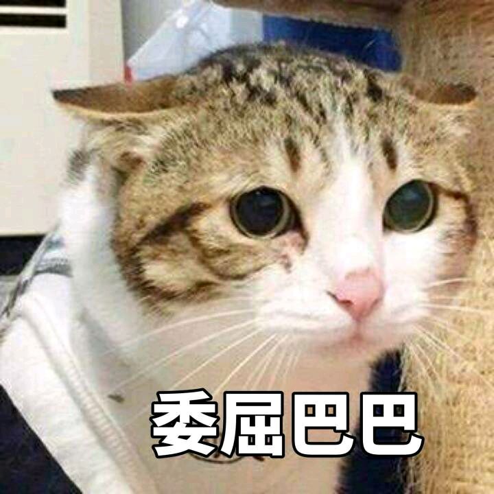 暗中委屈微信恶搞傻屌斗图表情包