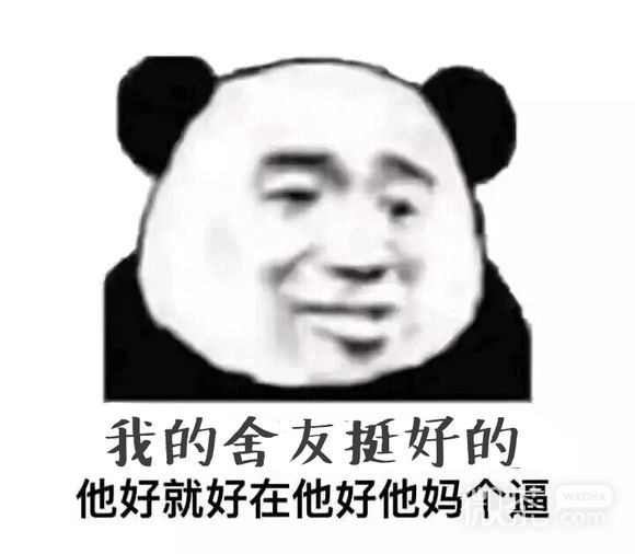 打扰了微信恶搞傻屌熊猫头斗图表情包