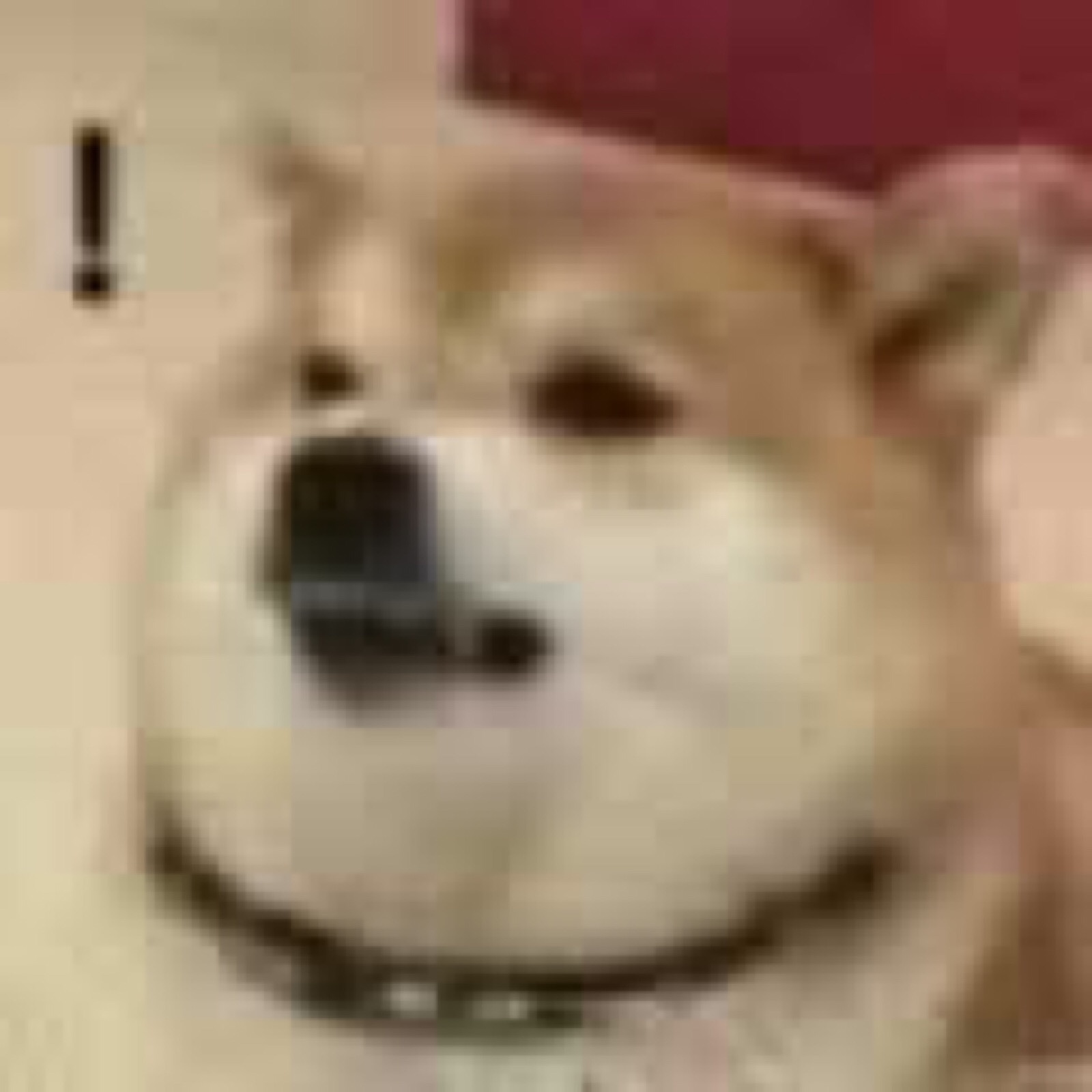 微信搞怪可爱宠物斗图表情包