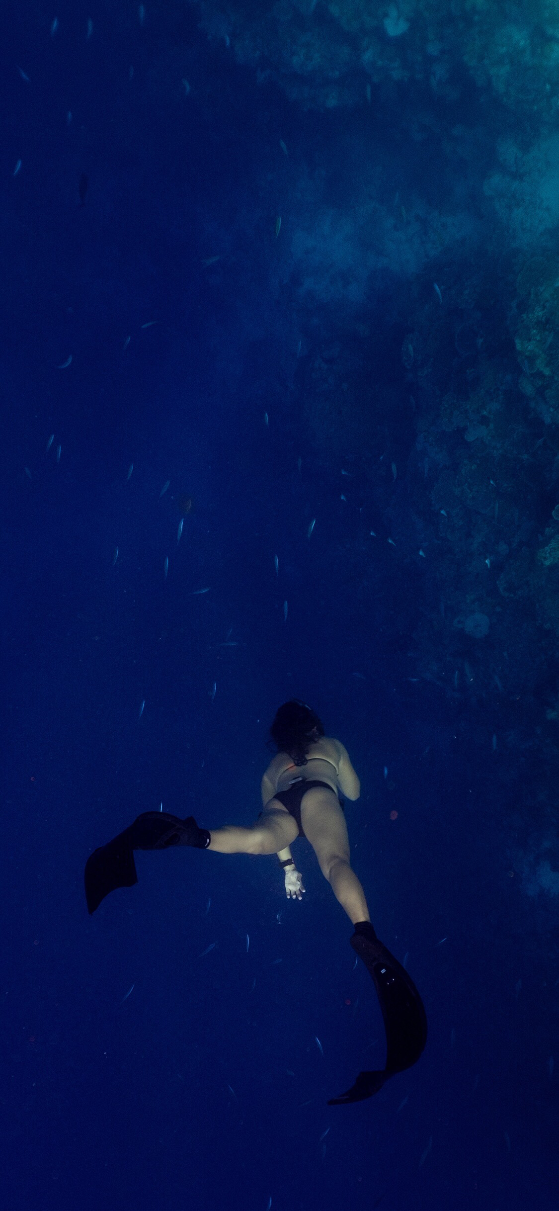 微信创意好看手机壁纸