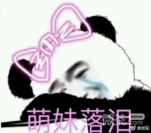 打扰了微信恶搞傻屌熊猫头斗图表情包