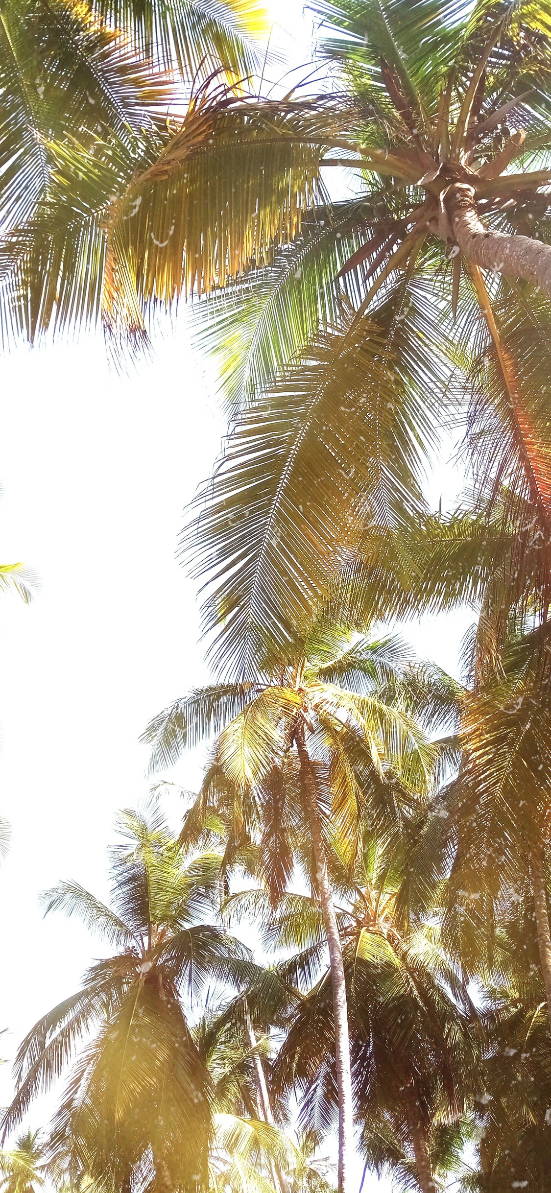 微信创意好看手机壁纸