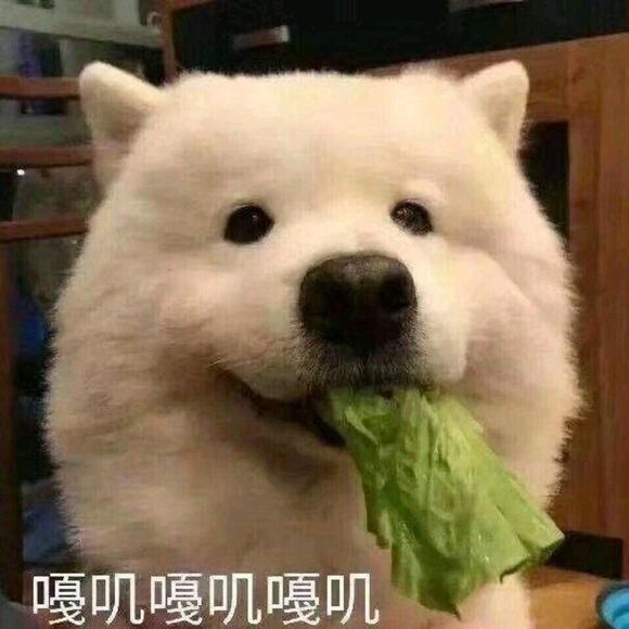 微信近期斗图恶搞表情包2019/4/8