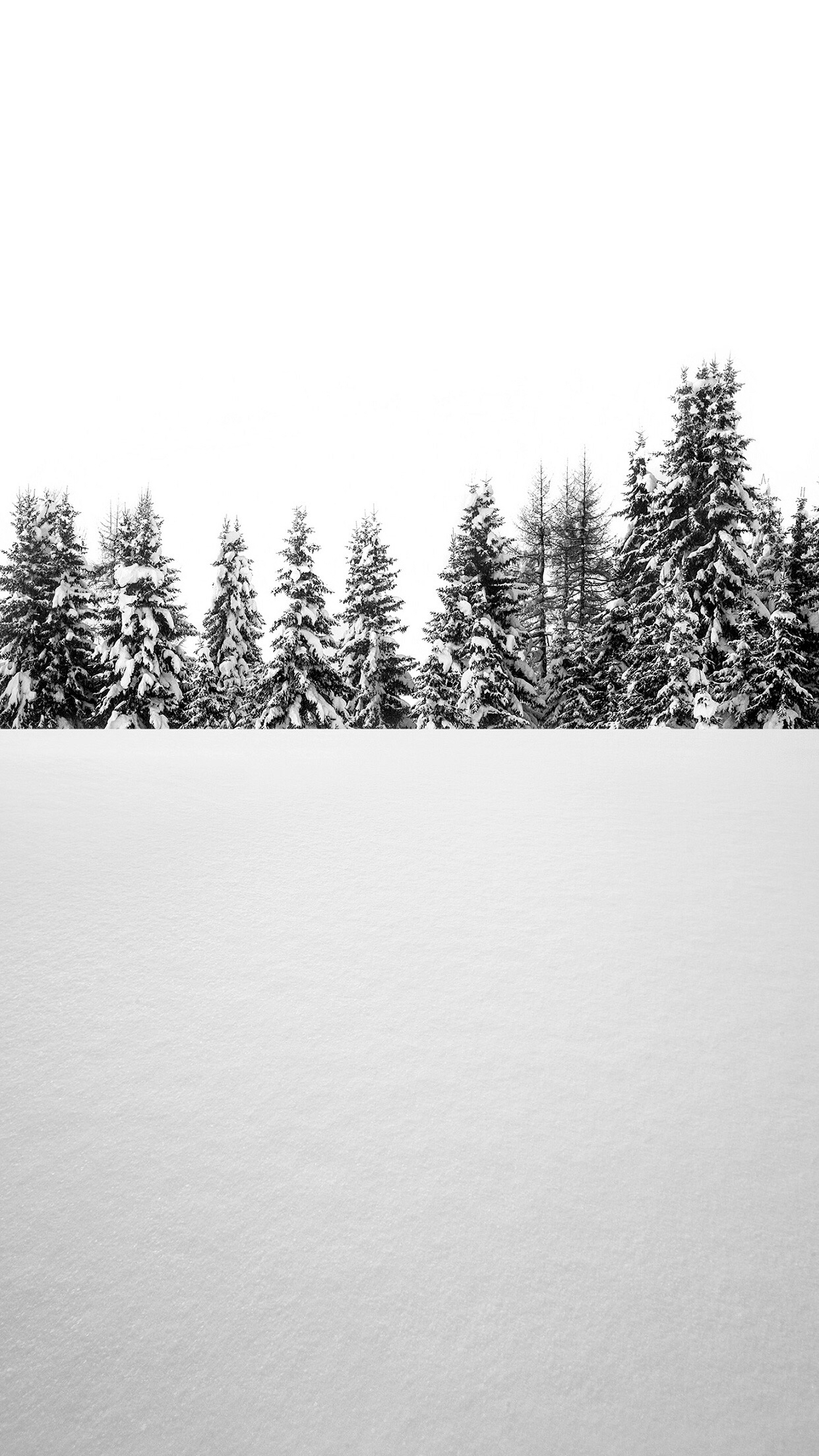 微信创意好看手机壁纸