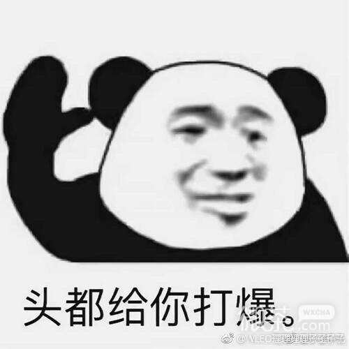 打扰了微信恶搞傻屌熊猫头斗图表情包