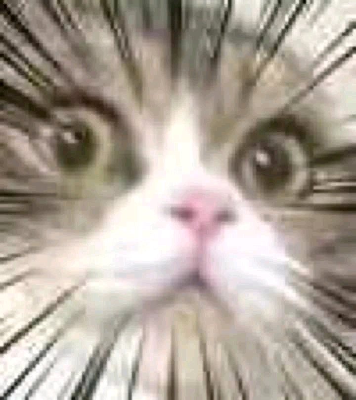 给个机会微信恶搞傻屌斗图表情包