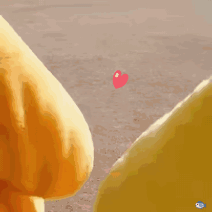 微信近期斗图恶搞表情包2019/4/8