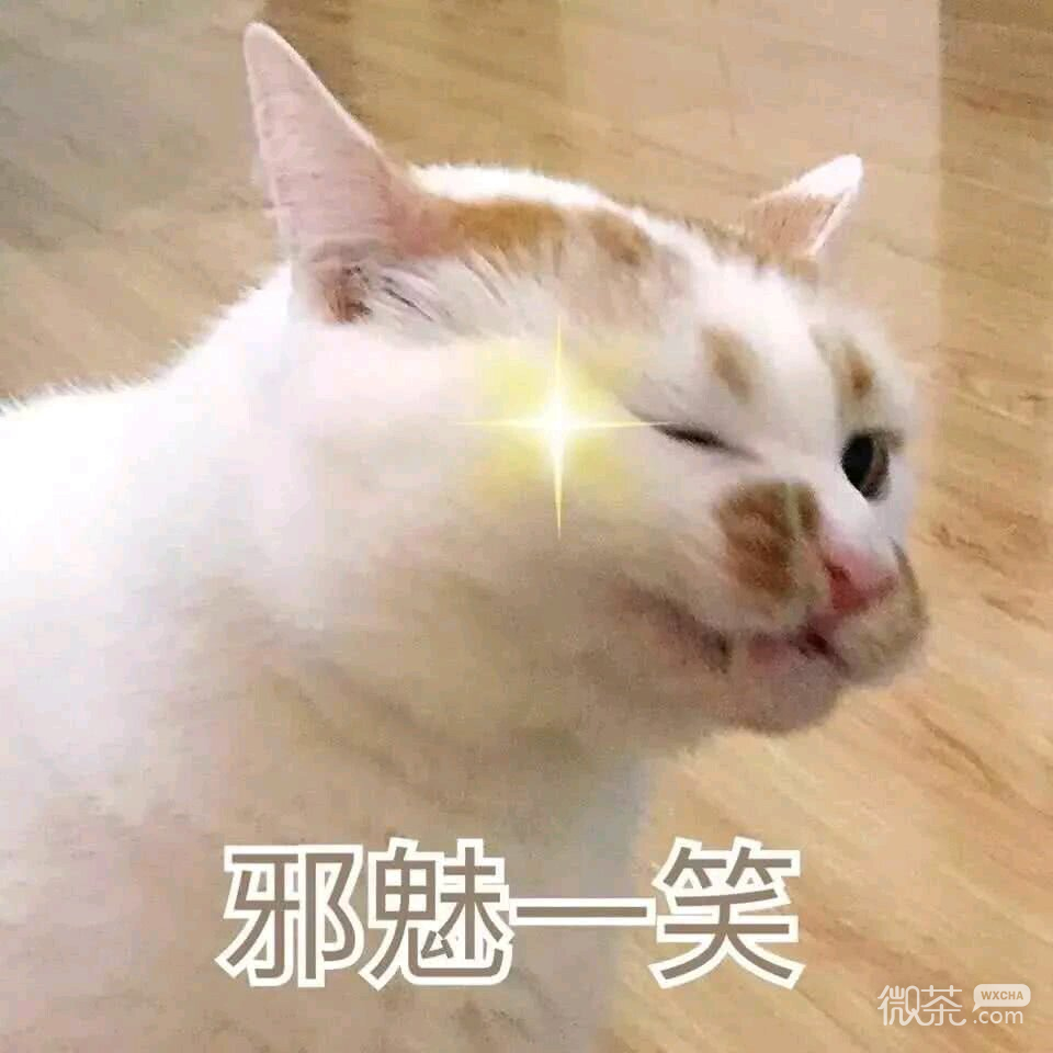 群聊杂图微信斗图表情包