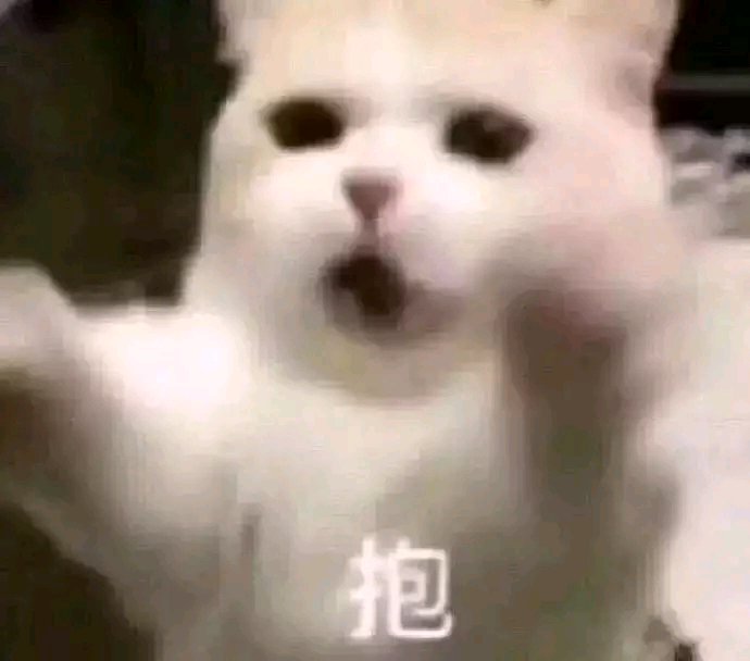 给个机会微信恶搞傻屌斗图表情包