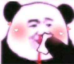 打扰了微信恶搞傻屌熊猫头斗图表情包