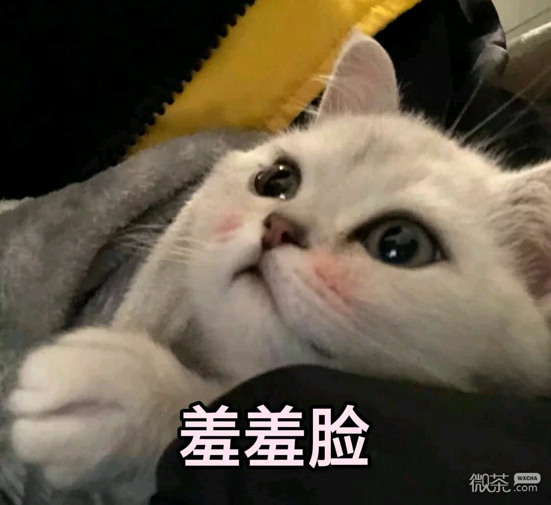 群聊杂图微信斗图表情包