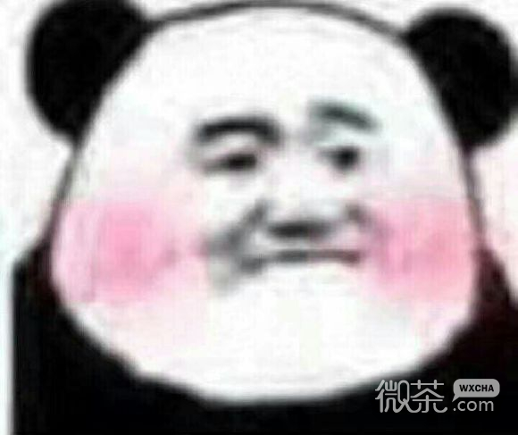 打扰了微信恶搞傻屌熊猫头斗图表情包