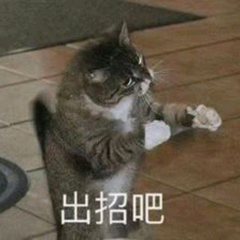 微信搞怪可爱宠物斗图表情包