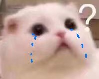 微信搞怪可爱宠物斗图表情包