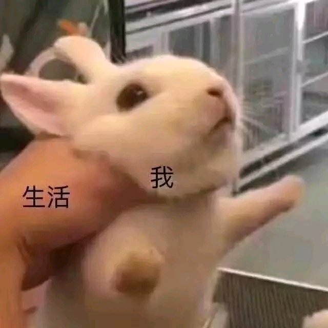 给个机会微信恶搞傻屌斗图表情包