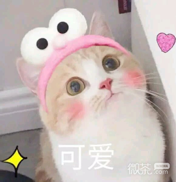 群聊杂图微信斗图表情包