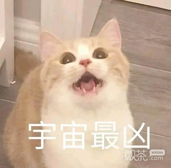 群聊杂图微信斗图表情包