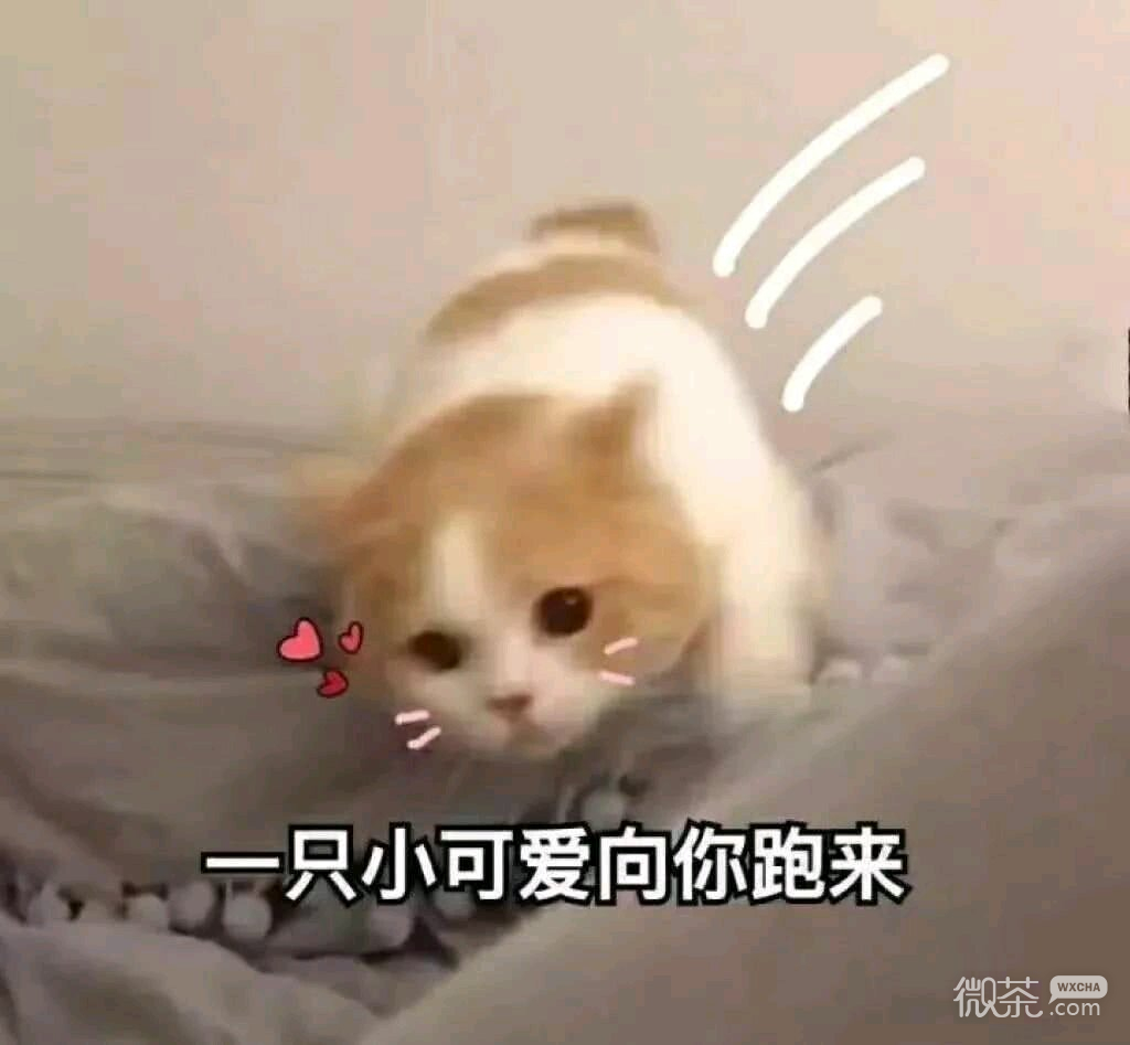 群聊杂图微信斗图表情包