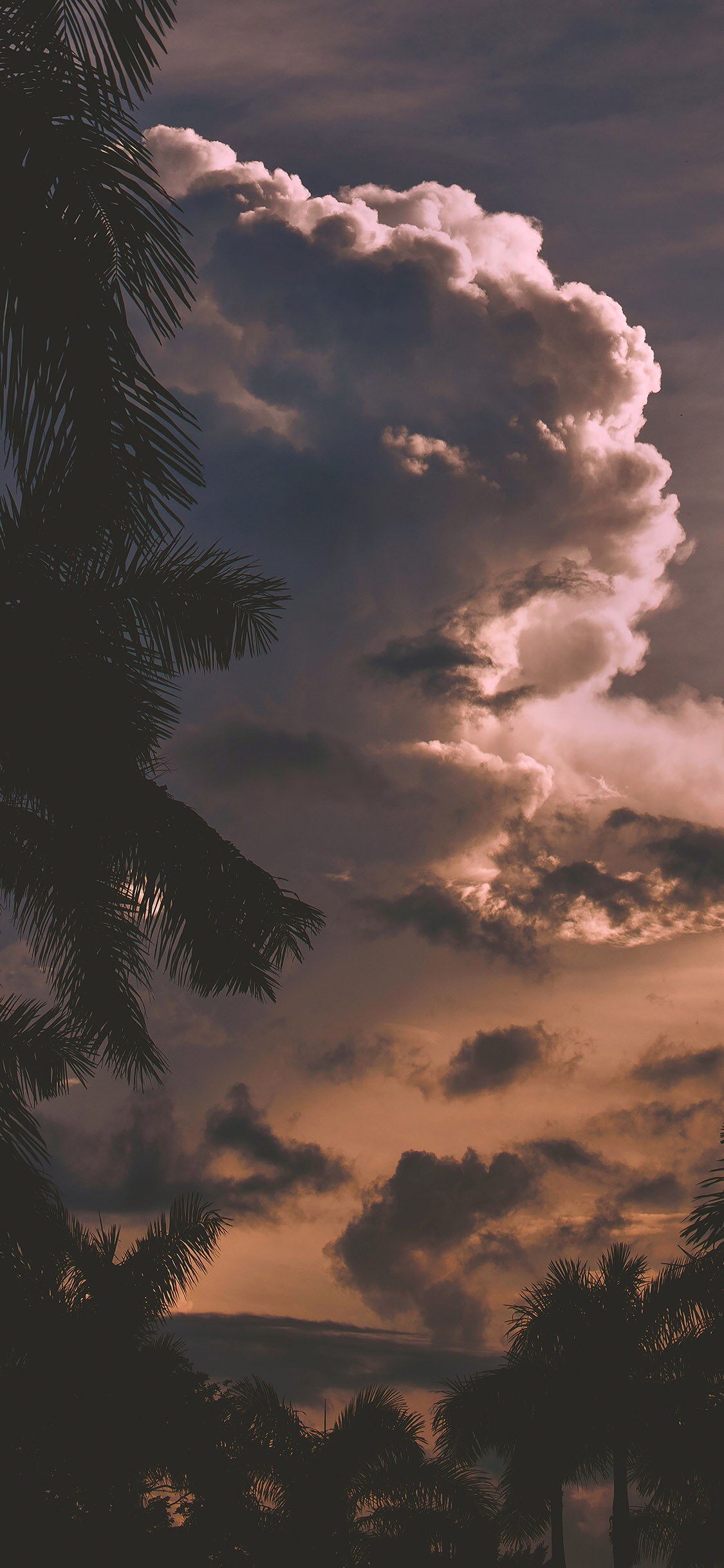 微信创意好看手机壁纸