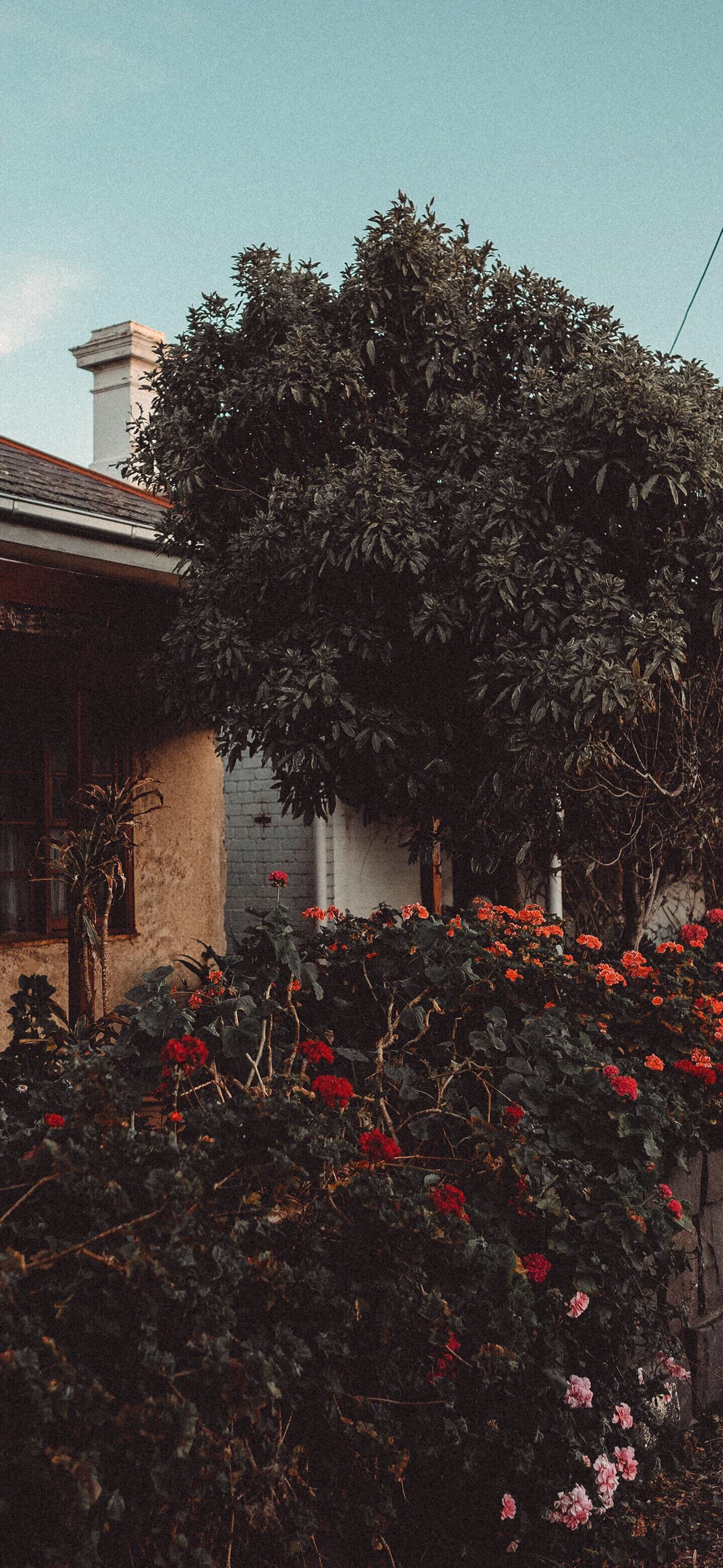 微信创意好看手机壁纸