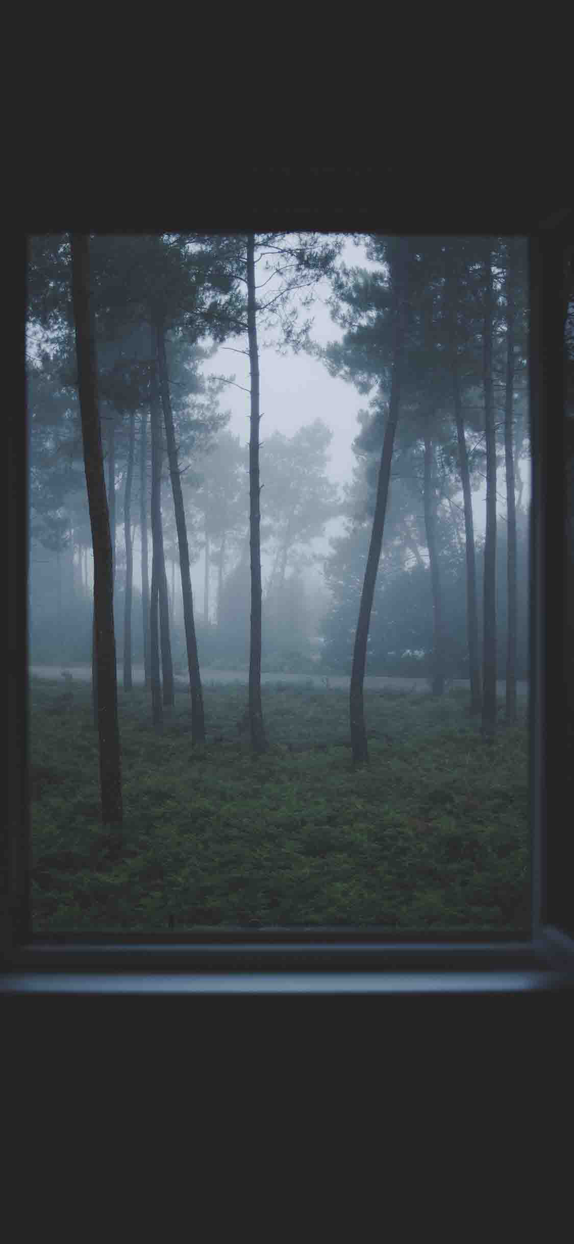 微信创意好看手机壁纸