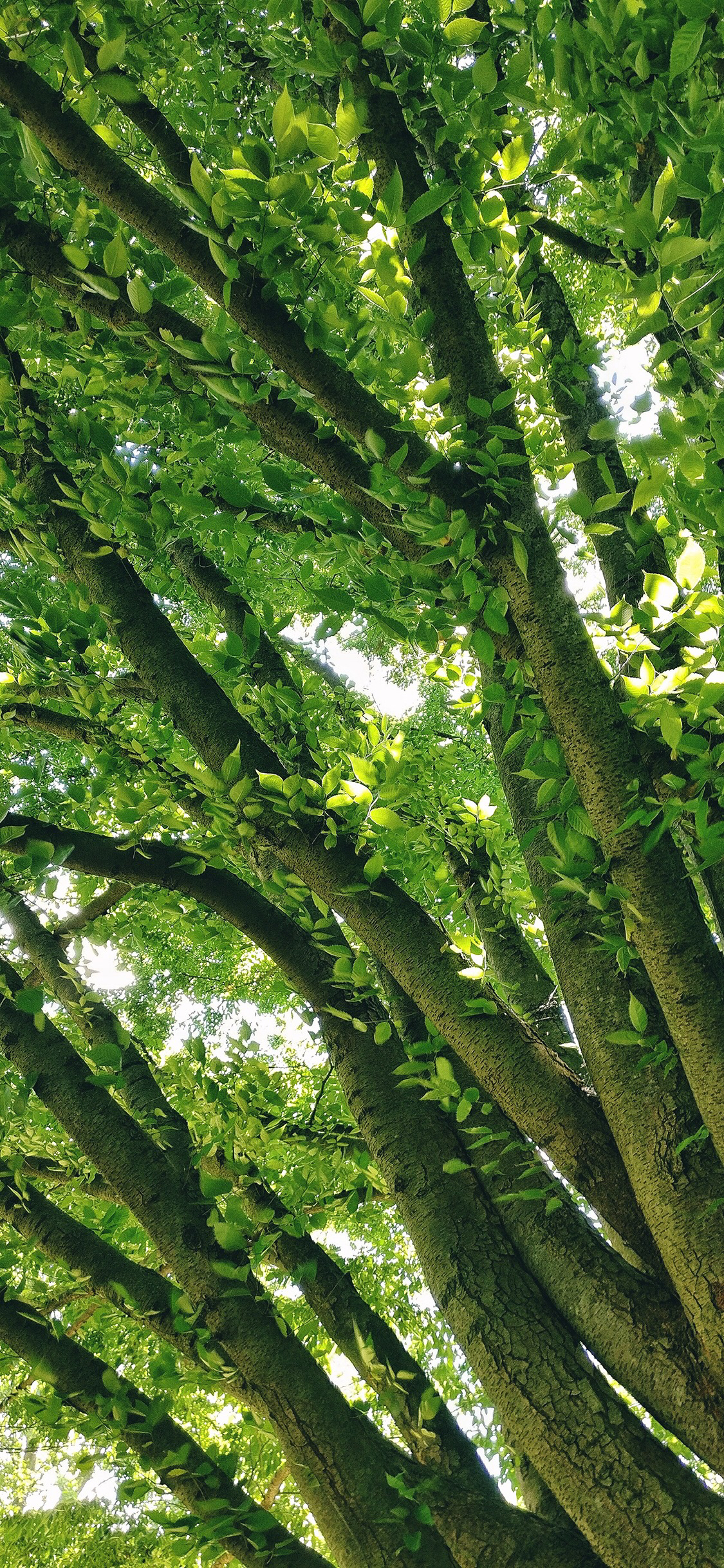 微信创意好看手机壁纸