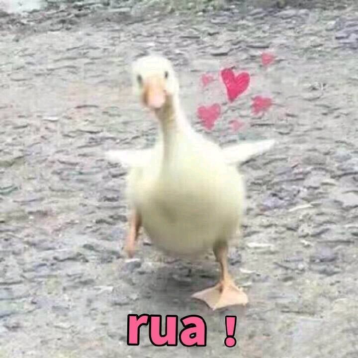 给个机会微信恶搞傻屌斗图表情包