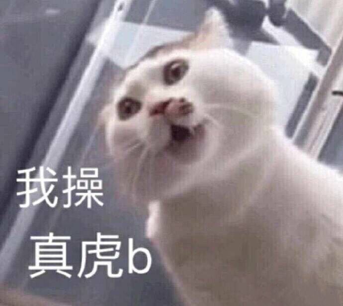 微信爆笑恶搞聊天斗图表情包