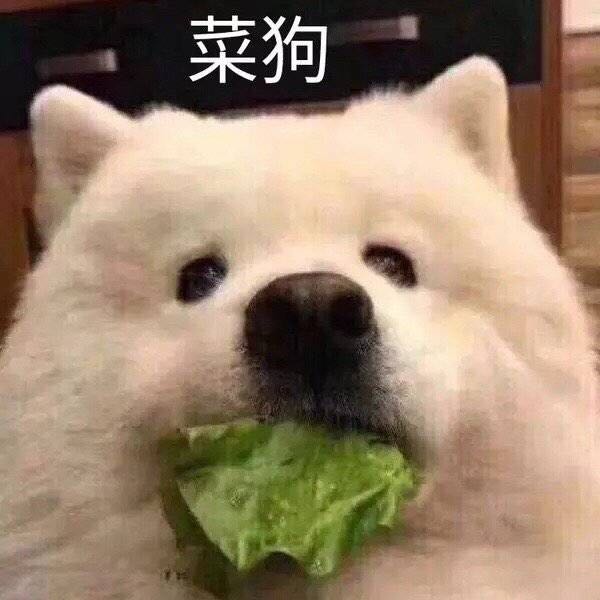 微信爆笑恶搞聊天斗图表情包