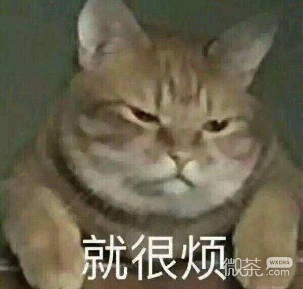 怂巴巴微信恶搞聊天斗图表情包