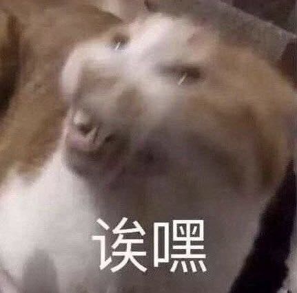 微信爆笑恶搞聊天斗图表情包