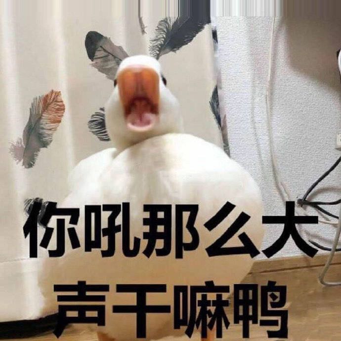 微信爆笑恶搞聊天斗图表情包