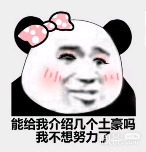 微信逗比恶搞斗图表情包